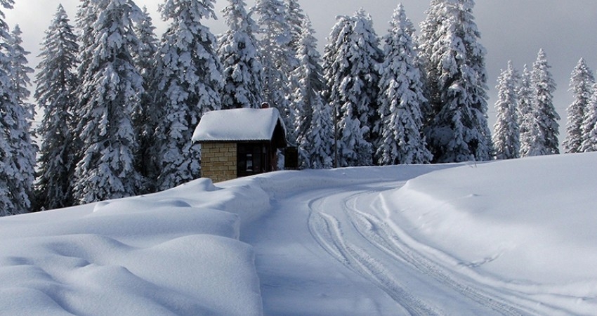 GÜNÜBİRLİK ILGAZ KAYAK TURU