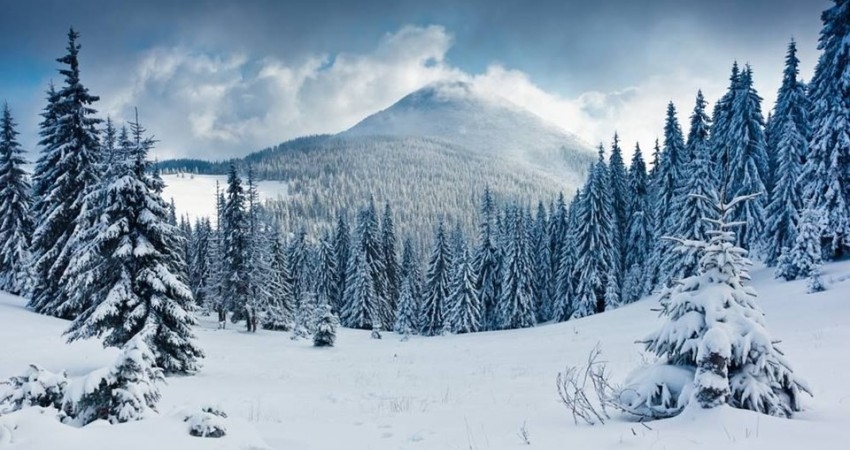 GÜNÜBİRLİK ILGAZ KAYAK TURU