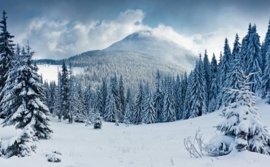 Günübirlik Ilgaz Kayak Merkezi Turu