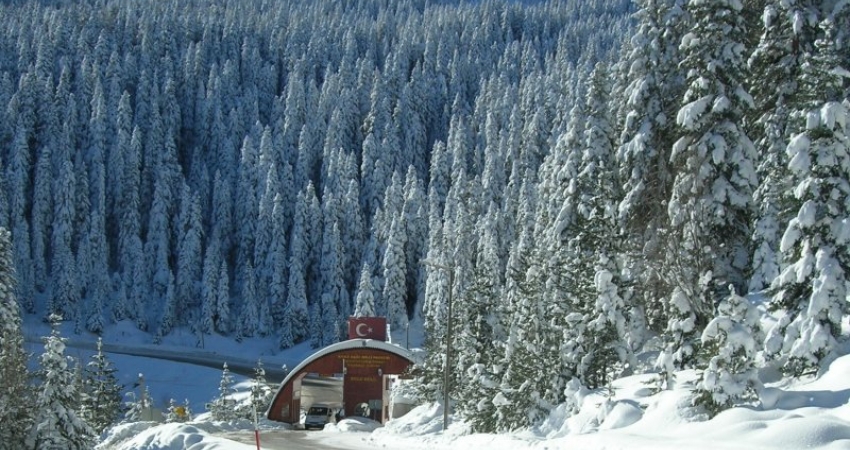 GÜNÜBİRLİK ILGAZ KAYAK TURU