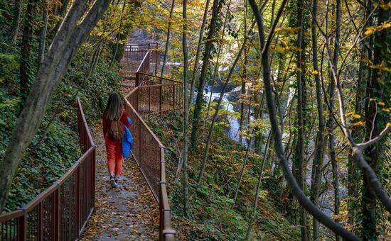 Günübirlik Düzce Şelaleleri Turu