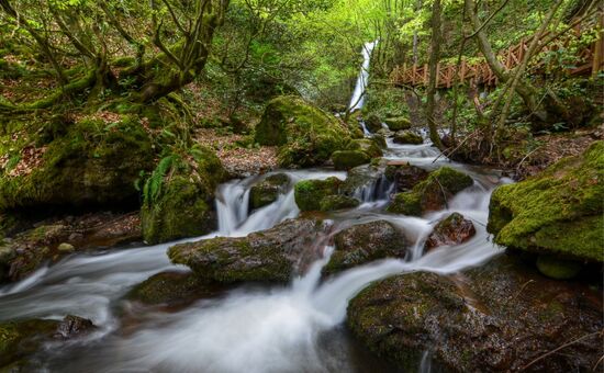Günübirlik Düzce Şelaleleri Turu