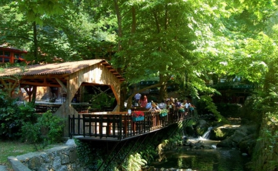 Günübirlik Ormanya Maşukiye Sapanca Turu