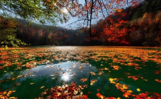 Günübirlik Yedigöller Turu