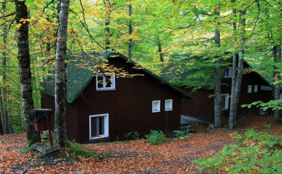 Günübirlik Yedigöller Turu