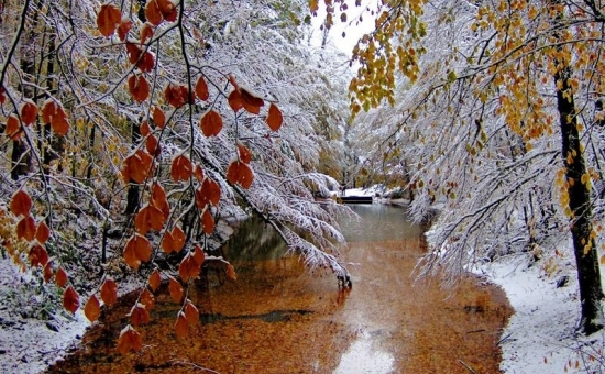 Günübirlik Yedigöller Turu