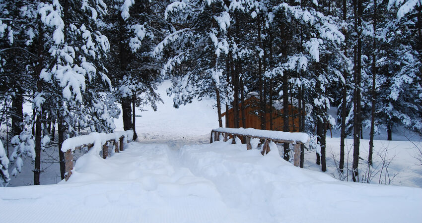 YILBAŞI ÖZEL ILGAZ KASTAMONU TURU