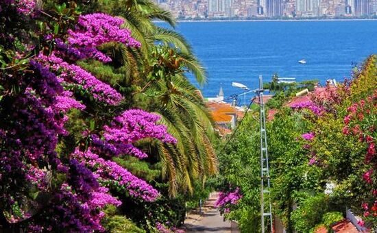 İSTANBUL ADALAR SARAYLAR TURU