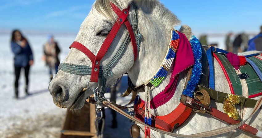 DOĞU EKSPRESİ İLE KARS ERZURUM 