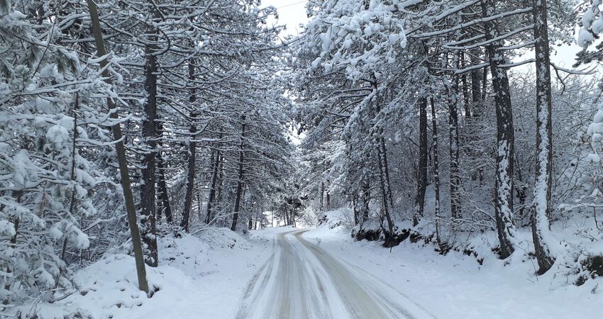 YILBAŞI ÖZEL ILGAZ KASTAMONU TURU