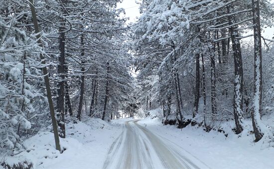 YILBAŞI ÖZEL ILGAZ KASTAMONU TURU