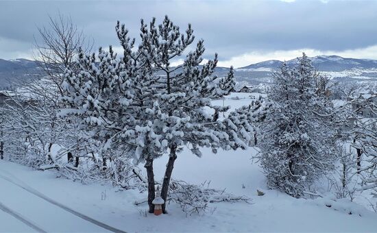 YILBAŞI ÖZEL ILGAZ KASTAMONU TURU