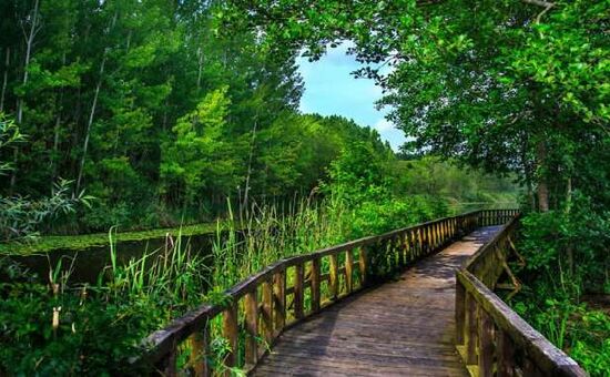 Edirne Kakava Şenlikleri Festival ve Trakya Turu - 2 Gece Konaklamalı