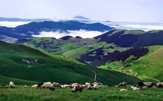 Batum Konaklamalı Eko Karadeniz Turu - 3 Gece Konaklamalı