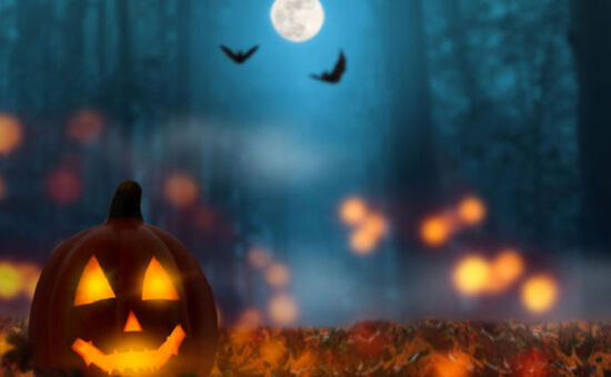 ROMANYA TRANSİLVANYA VARNA TURU