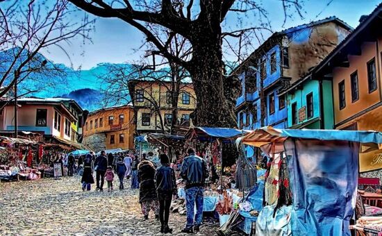 ANKARA ÇIKIŞLI BURSA MUDANYA TRİLYE İZNİK TURU