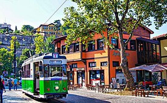 Günübirlik Bursa Cumalıkızık Gölyazı Turu