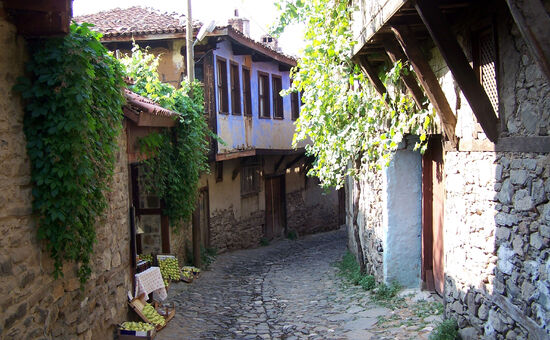 Günübirlik Bursa Cumalıkızık Gölyazı Turu