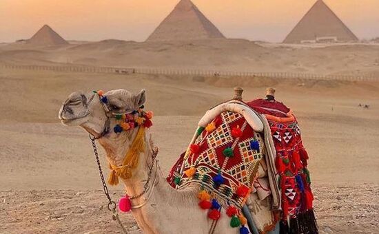 Ankara Çıkışlı Pegasus Havayolları İle Sharm El Sheik Turu