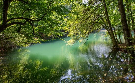 Günübirlik Yedigöller Turu