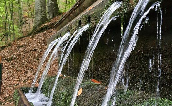 Günübirlik Yedigöller Turu