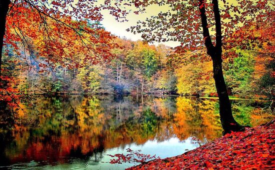 Günübirlik Yedigöller Turu