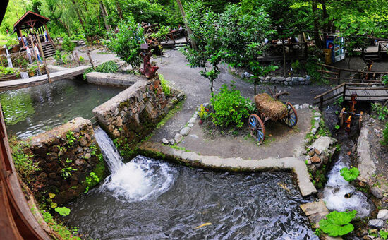Günübirlik Ormanya Maşukiye Sapanca Turu