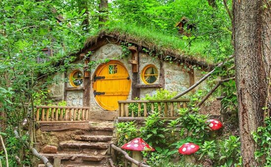 Günübirlik Ormanya Maşukiye Sapanca Turu