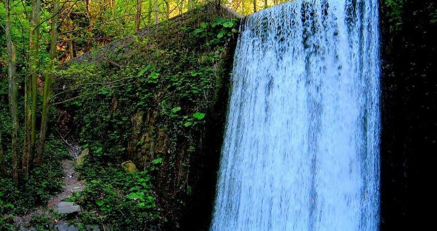 GÜNÜBİRLİK ORMANYA MAŞUKİYE SAPANCA TURU