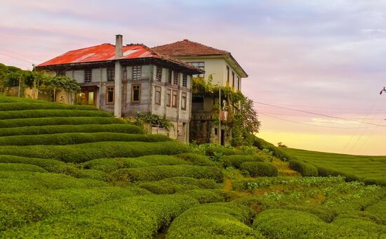 2025 KARADENİZ VE YAYLALAR TURU