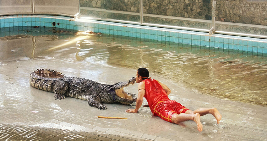 GRAND TAYLAND PHUKET -BANGKOK - PATTAYA TURU