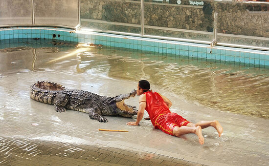 İstanbul Hareketli Emirates Hava Yolları ile Grand Tayland Phuket Bangkok Pattaya Turu