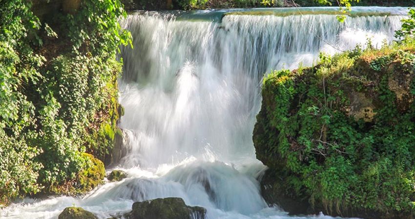 ADANA PORTAKAL ÇİÇEĞİ FESTİVAL TURU